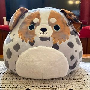 Raylor the Squishmallow